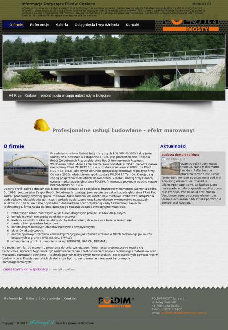 Poldim-Mosty. Budowa, remont mostów